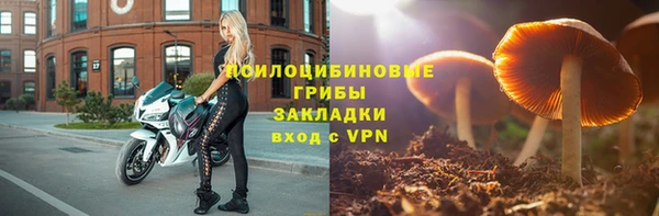 спиды Володарск