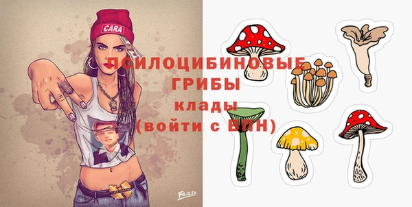 ешки Верея