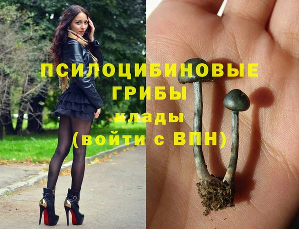 Альфа ПВП Верхнеуральск