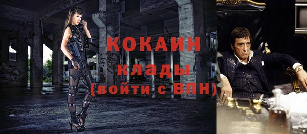 МДПВ Снежинск