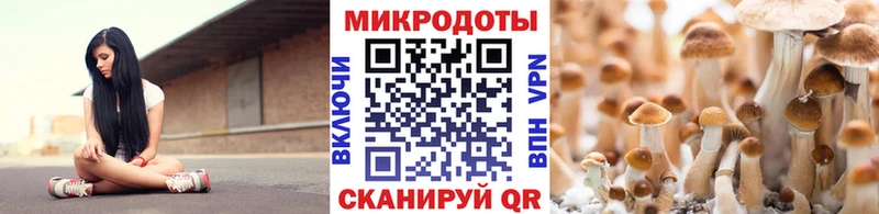 shop состав  hydra сайт  Кимовск  Галлюциногенные грибы мухоморы 